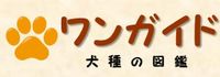 犬種のご案内